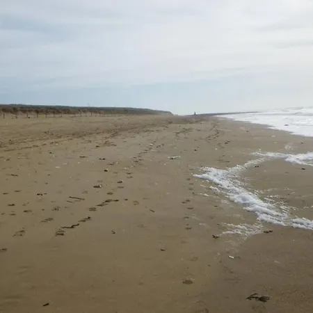 Maison Au Calme Pres Les Sables D'olonne